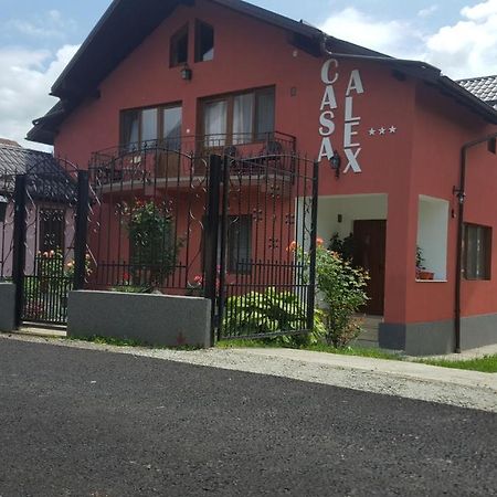 Vila Alex Hotel Călimăneşti Buitenkant foto