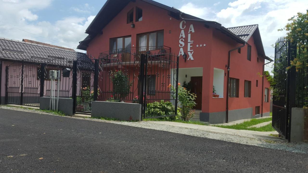 Vila Alex Hotel Călimăneşti Buitenkant foto