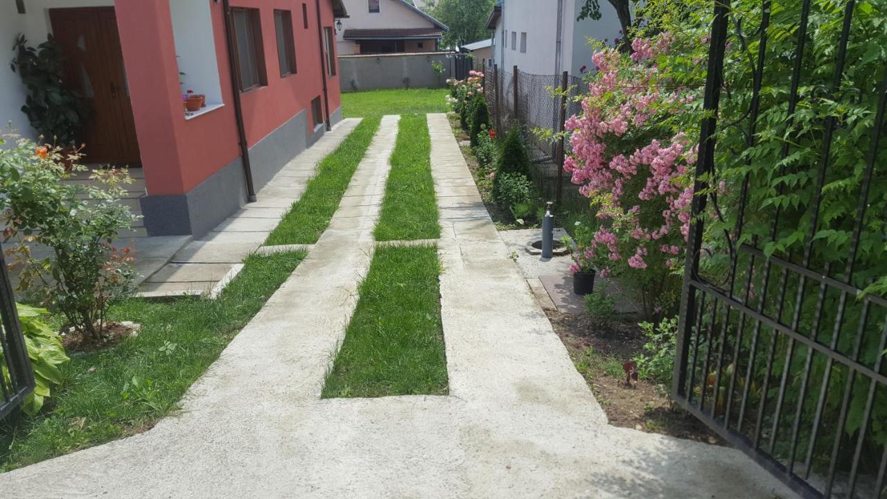 Vila Alex Hotel Călimăneşti Buitenkant foto