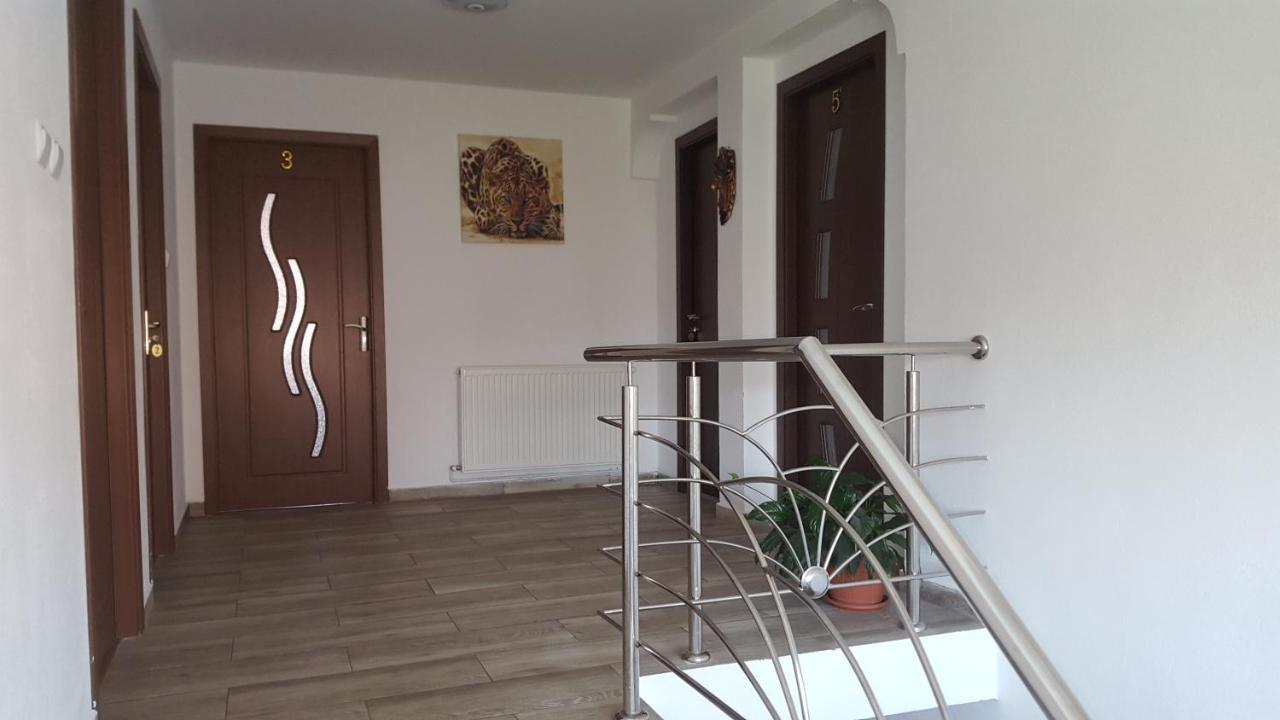 Vila Alex Hotel Călimăneşti Buitenkant foto