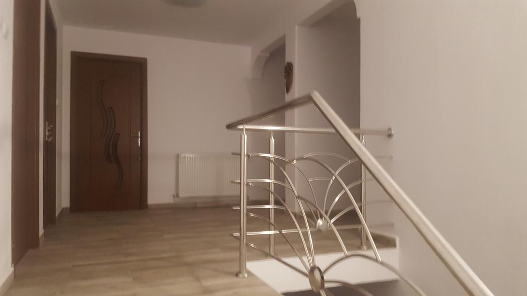 Vila Alex Hotel Călimăneşti Buitenkant foto
