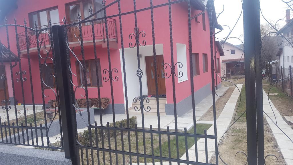Vila Alex Hotel Călimăneşti Buitenkant foto