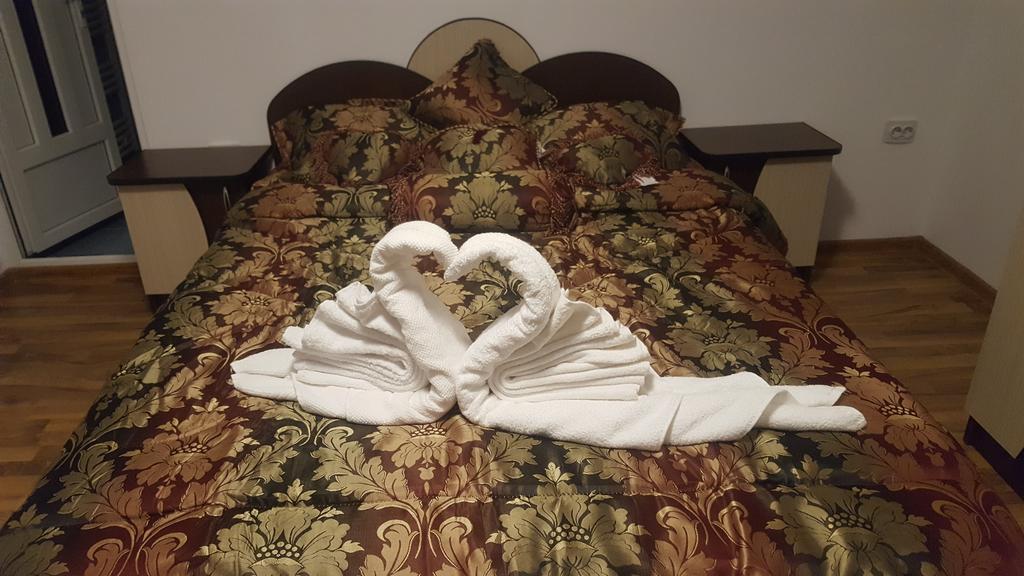 Vila Alex Hotel Călimăneşti Buitenkant foto