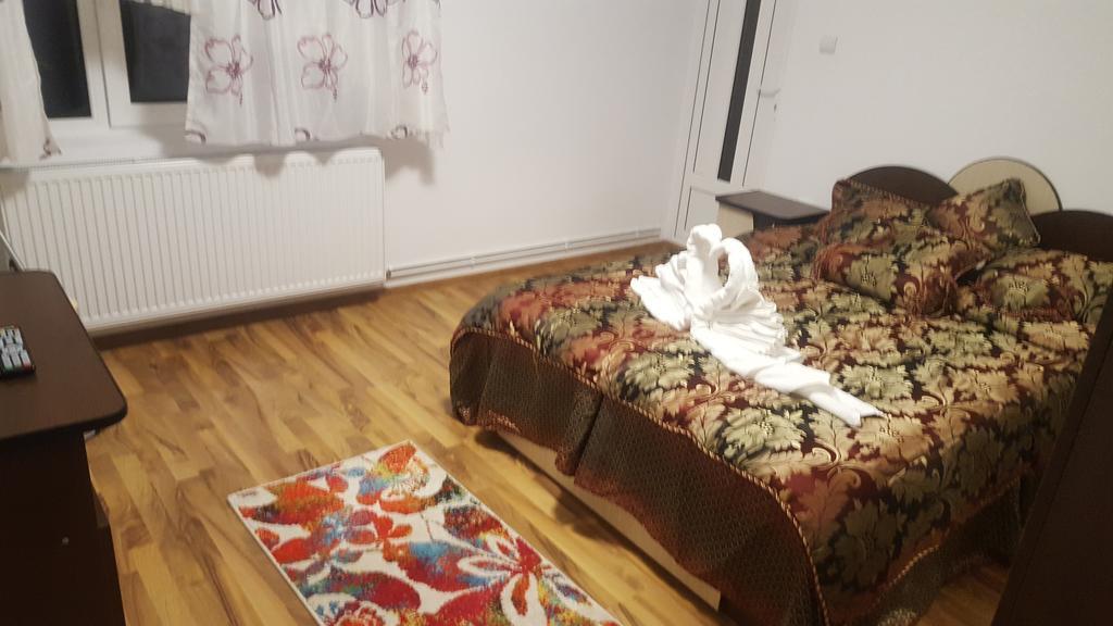 Vila Alex Hotel Călimăneşti Buitenkant foto