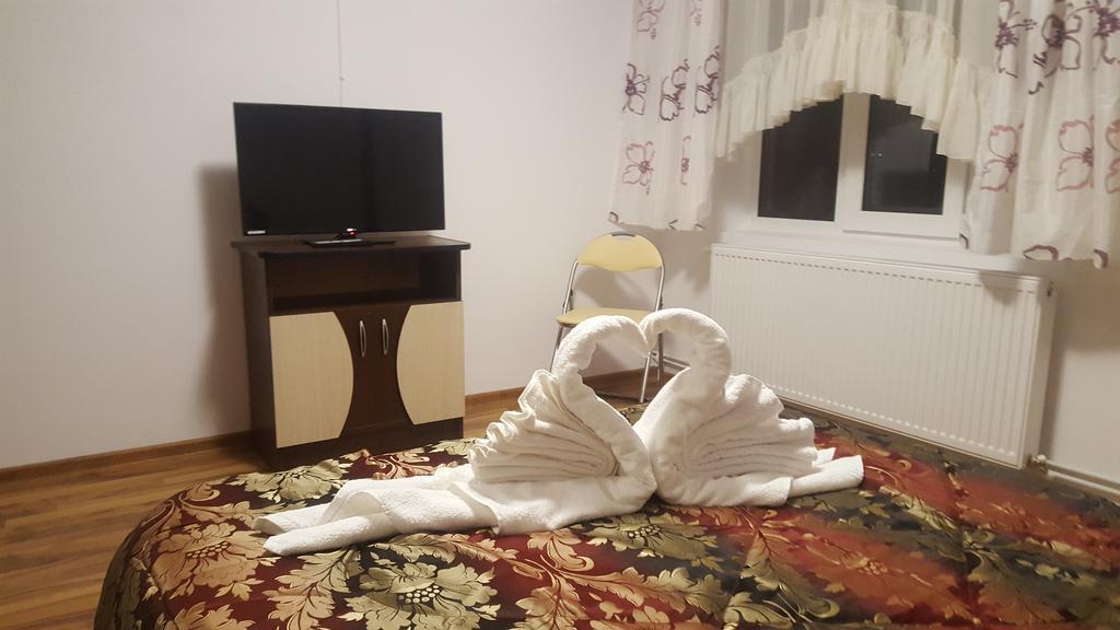 Vila Alex Hotel Călimăneşti Buitenkant foto