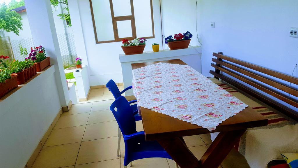 Vila Alex Hotel Călimăneşti Buitenkant foto