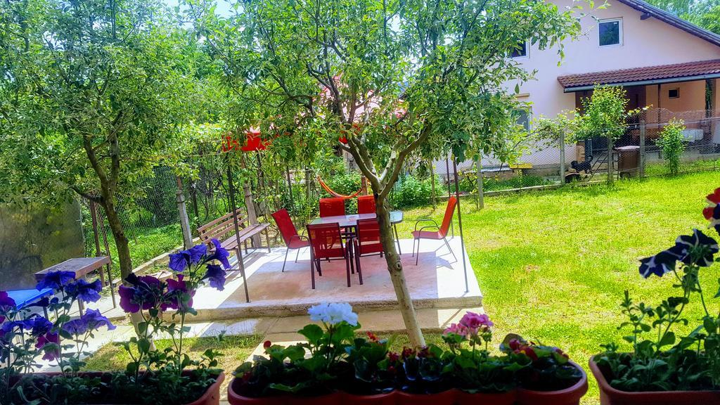 Vila Alex Hotel Călimăneşti Buitenkant foto