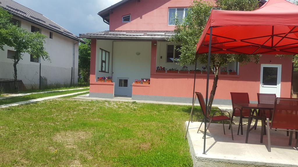 Vila Alex Hotel Călimăneşti Buitenkant foto