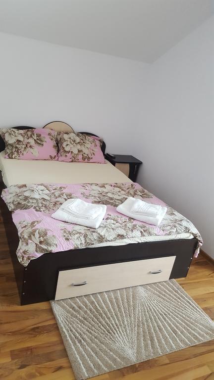 Vila Alex Hotel Călimăneşti Buitenkant foto