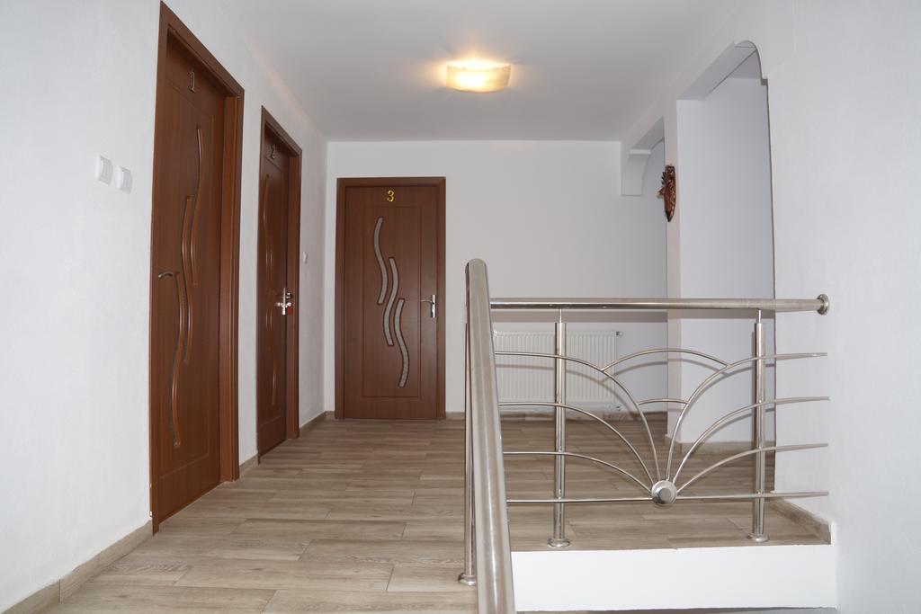 Vila Alex Hotel Călimăneşti Buitenkant foto