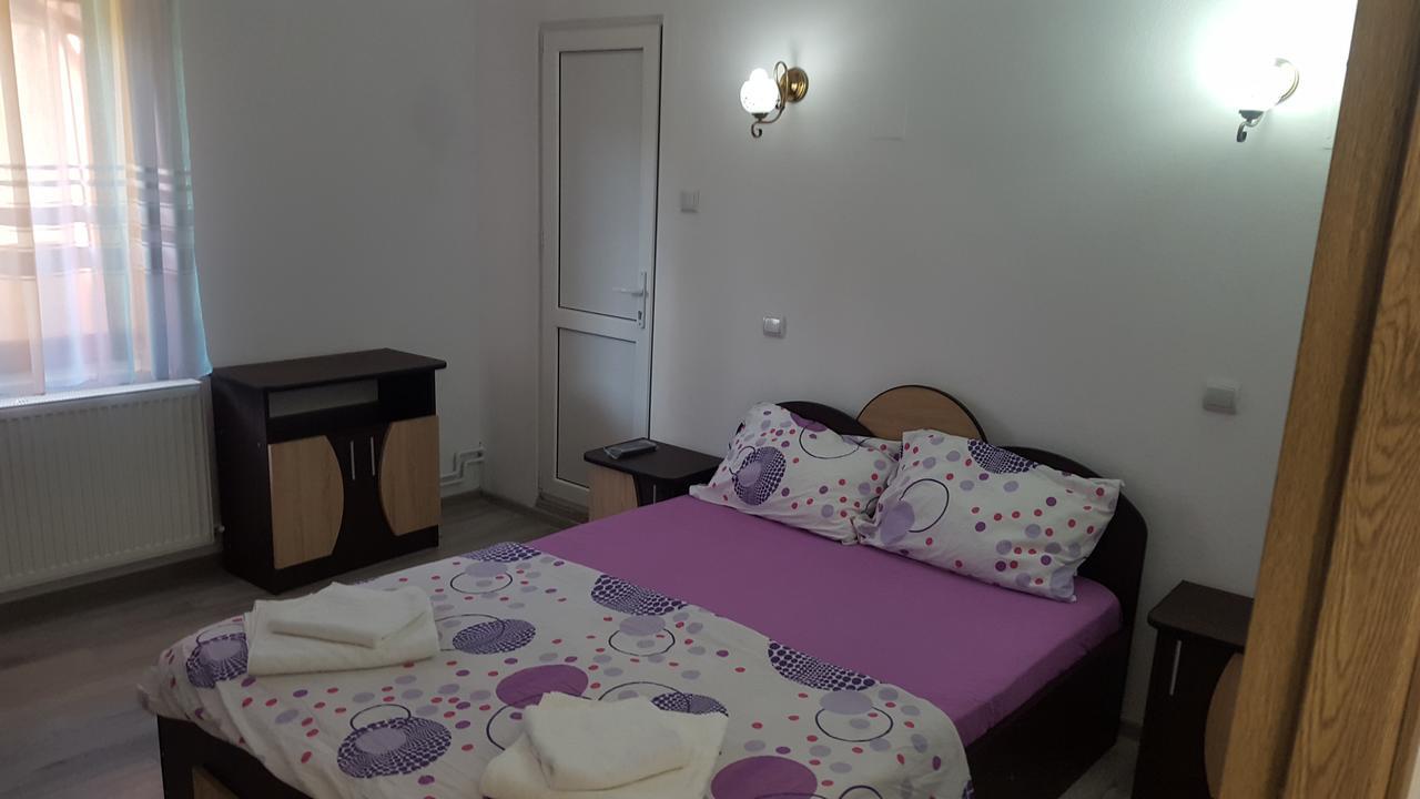Vila Alex Hotel Călimăneşti Buitenkant foto