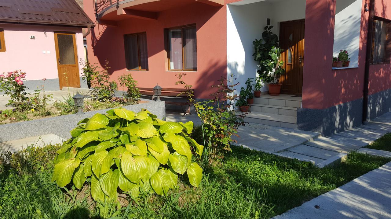 Vila Alex Hotel Călimăneşti Buitenkant foto