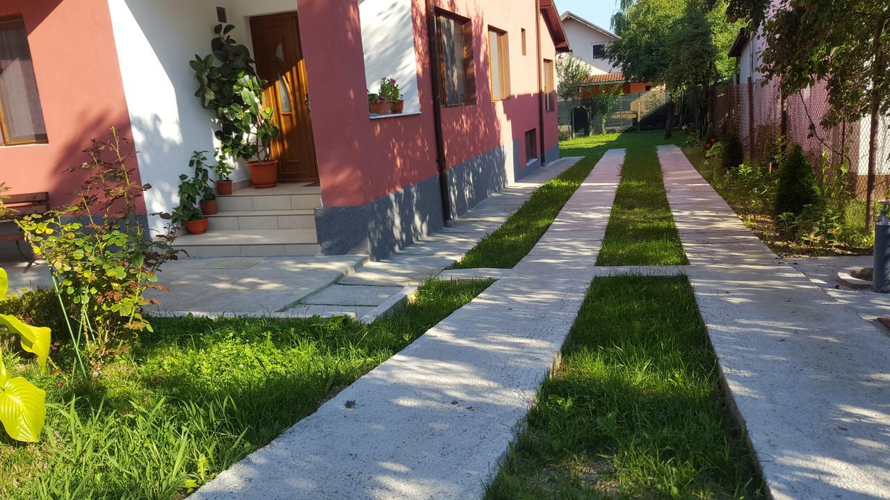 Vila Alex Hotel Călimăneşti Buitenkant foto
