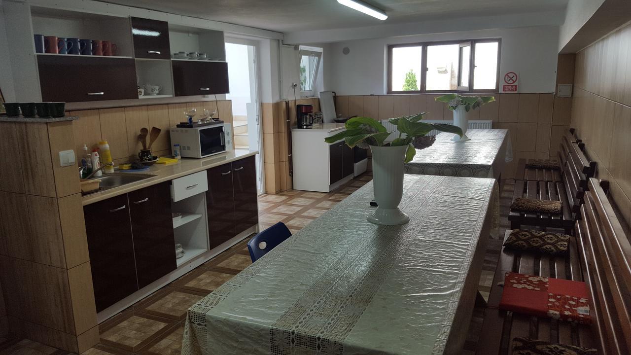 Vila Alex Hotel Călimăneşti Buitenkant foto